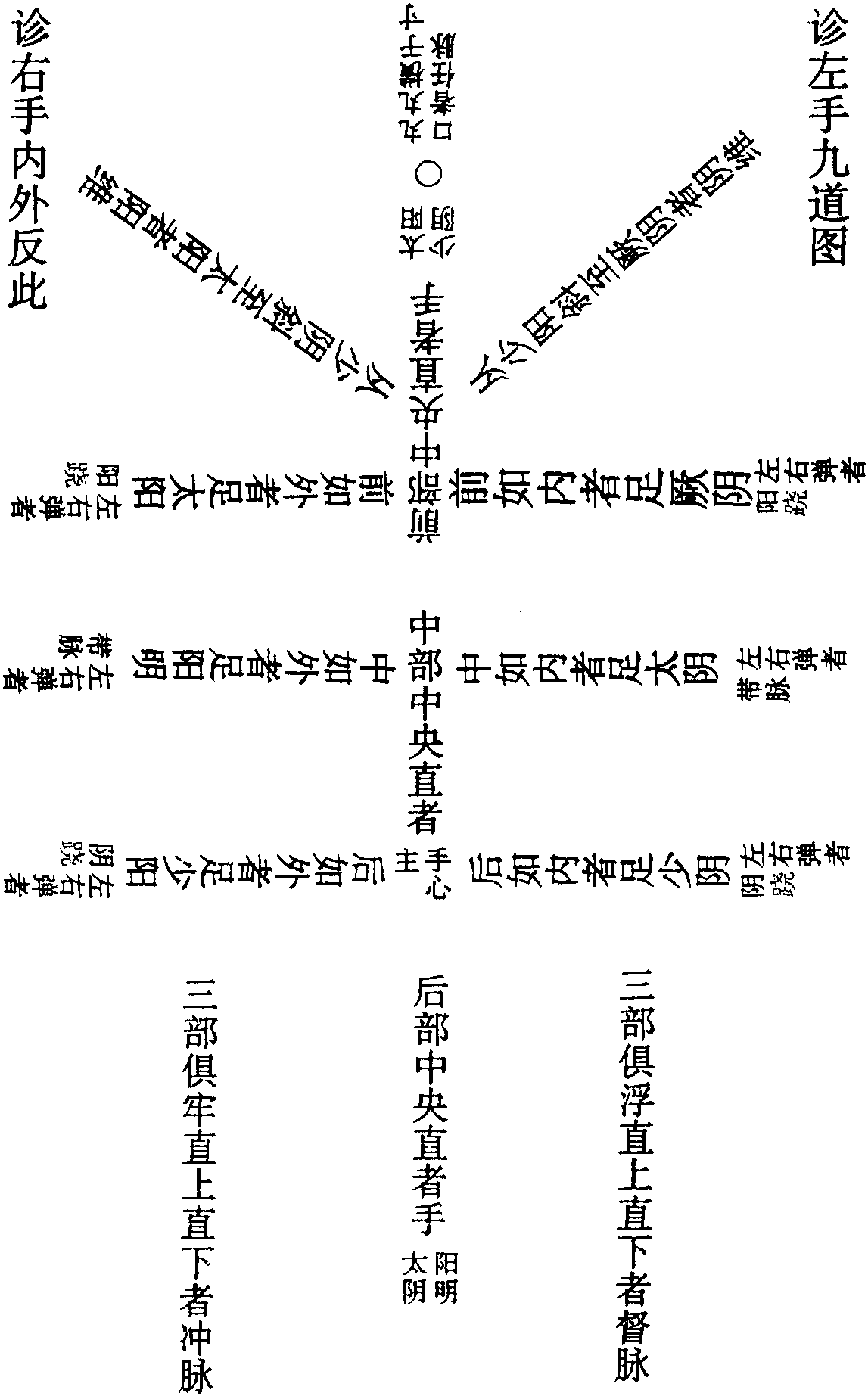 阴阳气道口位置图片